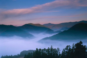 ホームページをリニューアルしました