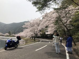 下北山村　お花見モニターツアー