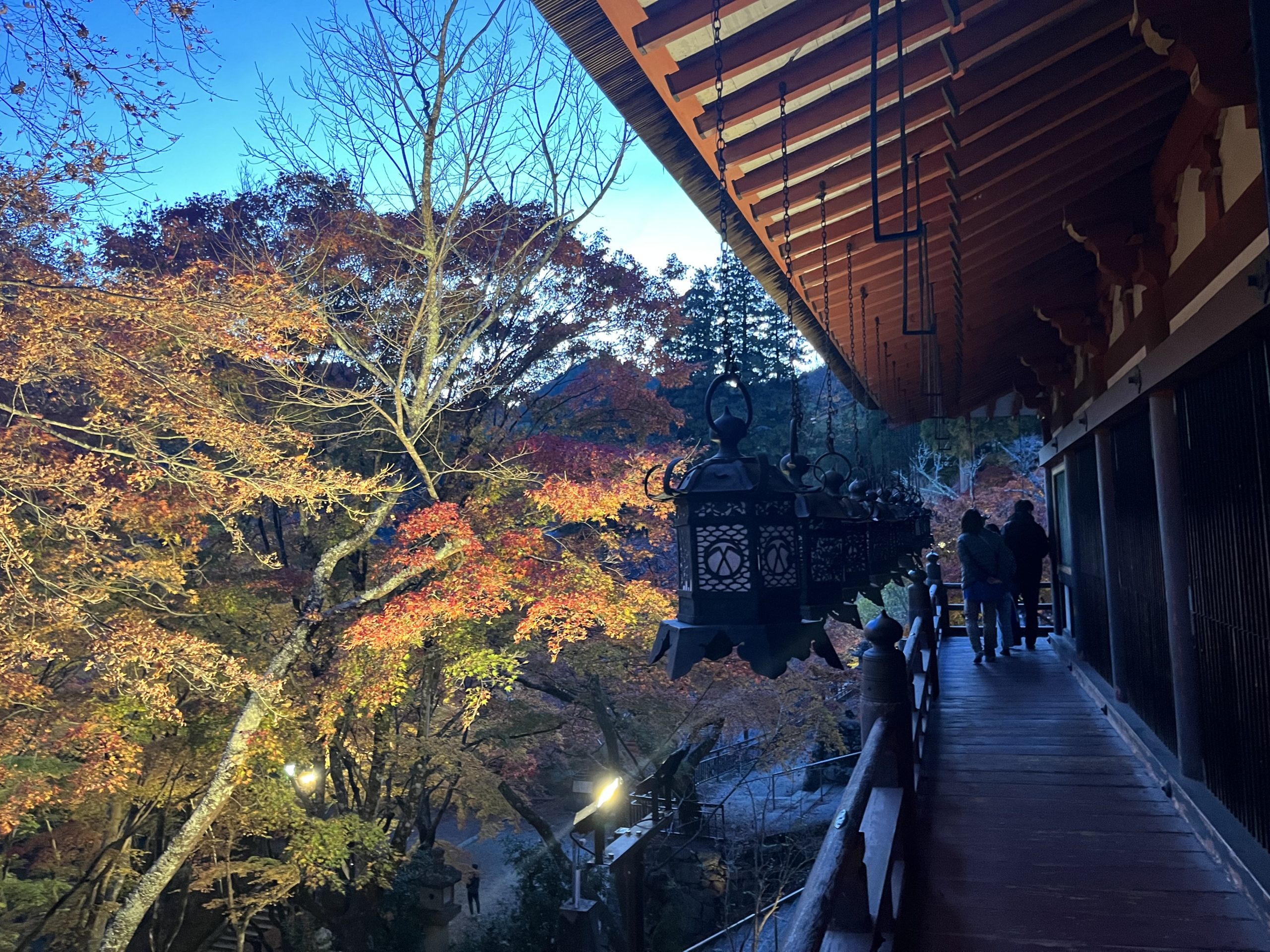 ライトアップ談山神社の紅葉＆飛鳥散策ツアー開催