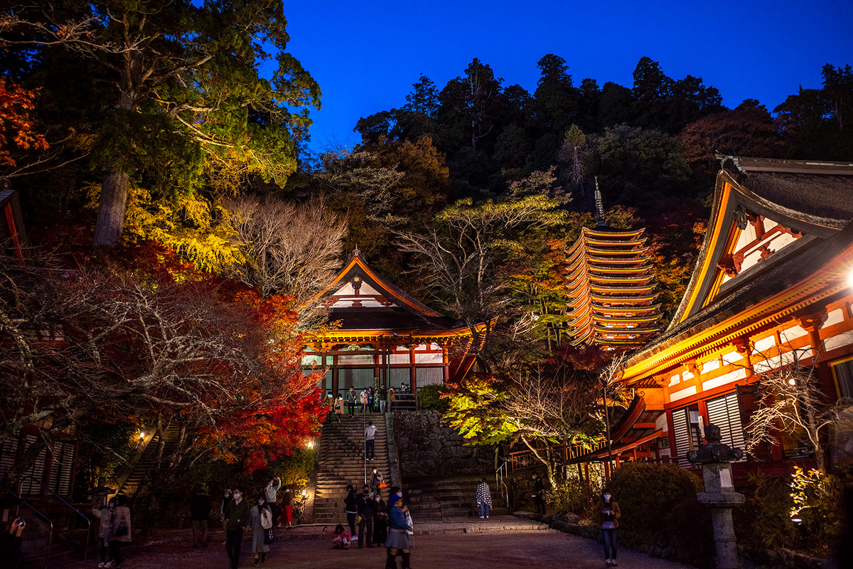 【特別企画】いまなら　ライトアップの談山神社の紅葉＆飛鳥散策　