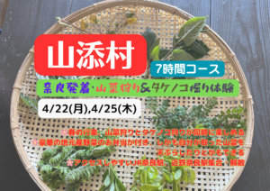 山菜狩り＆タケノコ狩り体験ツアー