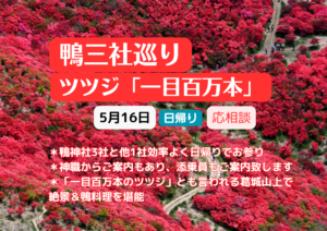 一目百万本のツツジ 絶景＆鴨三社巡り