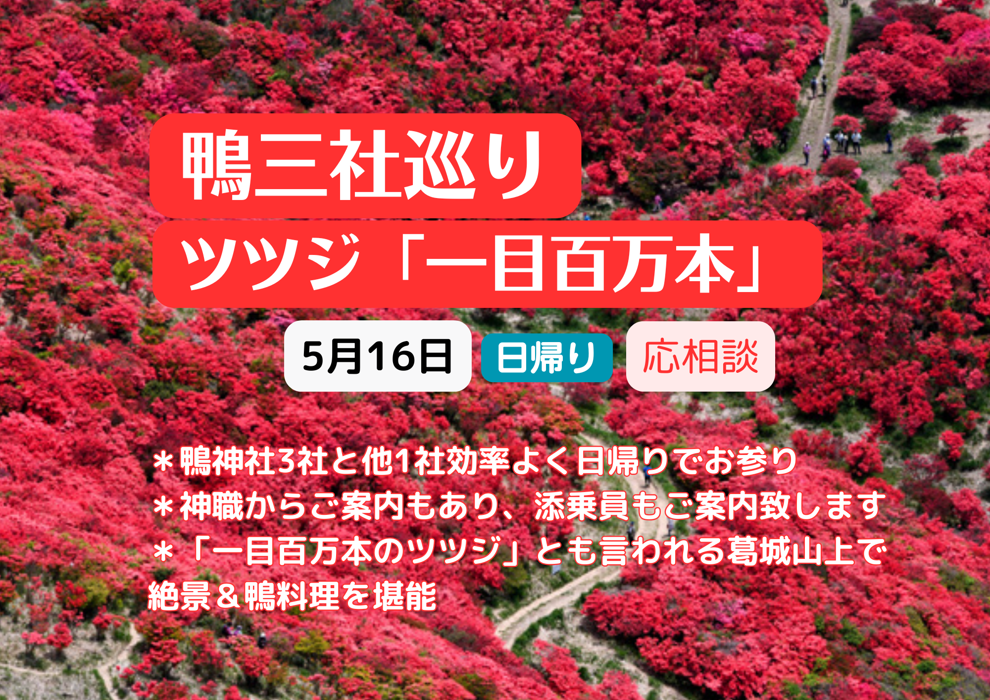 一目百万本のツツジ 絶景&鴨三社巡り